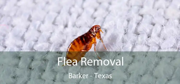 Flea Removal Barker - Texas