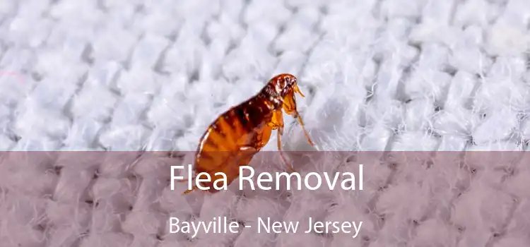 Flea Removal Bayville - New Jersey