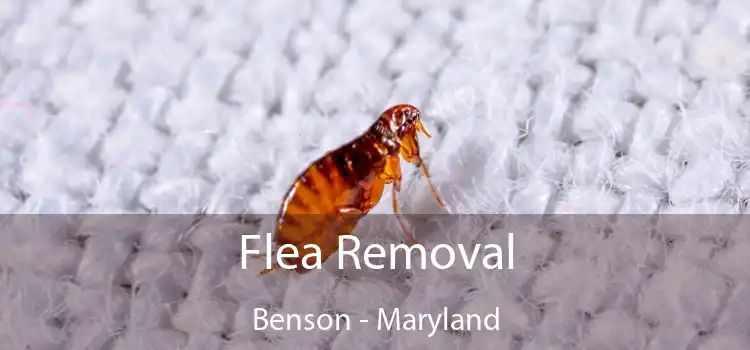 Flea Removal Benson - Maryland