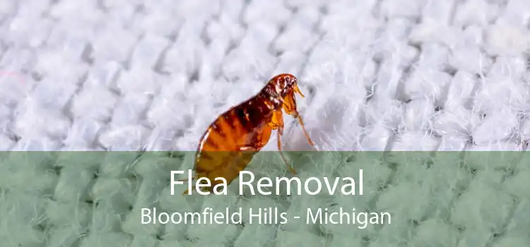 Flea Removal Bloomfield Hills - Michigan