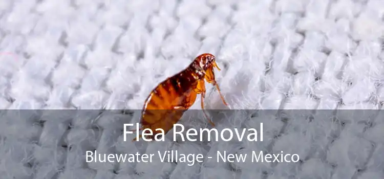 Flea Removal Bluewater Village - New Mexico
