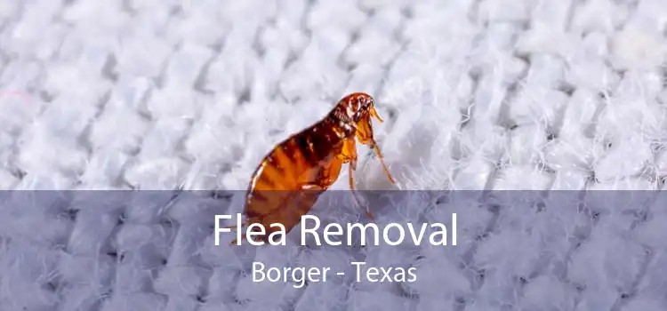 Flea Removal Borger - Texas