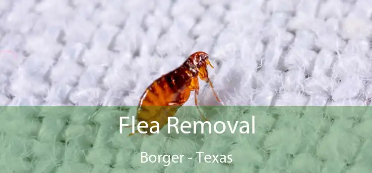 Flea Removal Borger - Texas