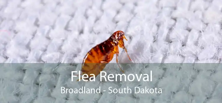 Flea Removal Broadland - South Dakota