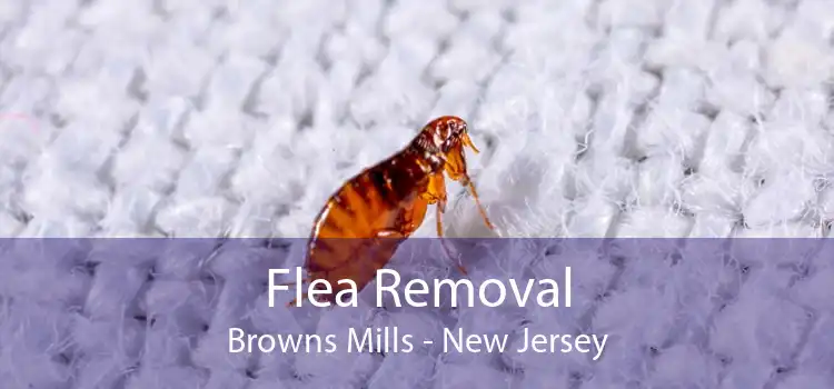Flea Removal Browns Mills - New Jersey