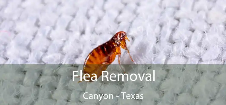 Flea Removal Canyon - Texas