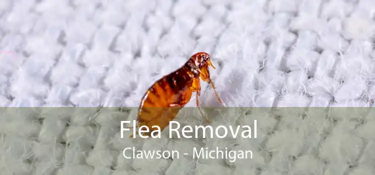 Flea Removal Clawson - Michigan