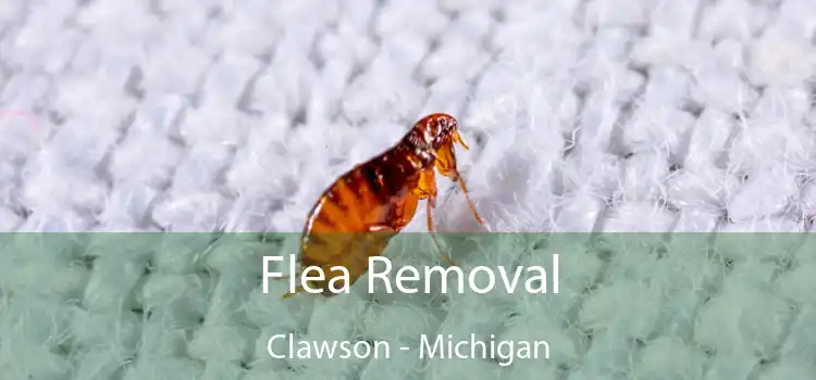 Flea Removal Clawson - Michigan