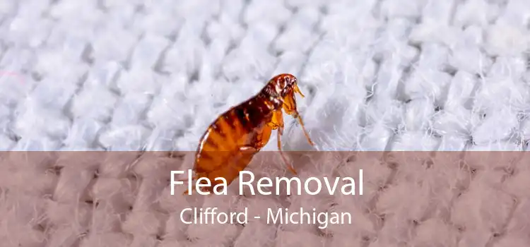 Flea Removal Clifford - Michigan