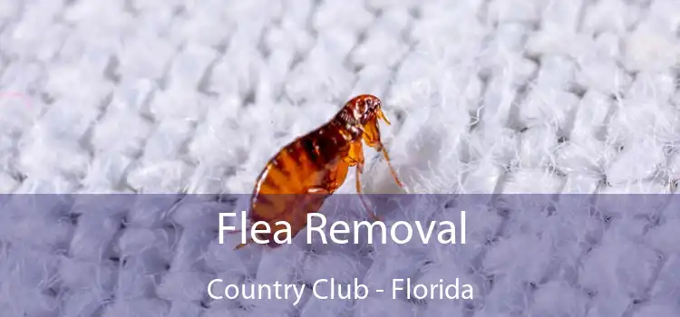 Flea Removal Country Club - Florida