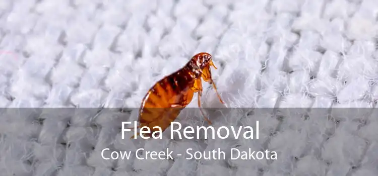 Flea Removal Cow Creek - South Dakota