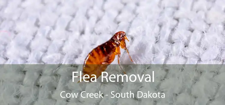 Flea Removal Cow Creek - South Dakota