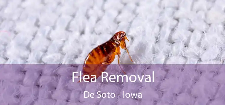 Flea Removal De Soto - Iowa