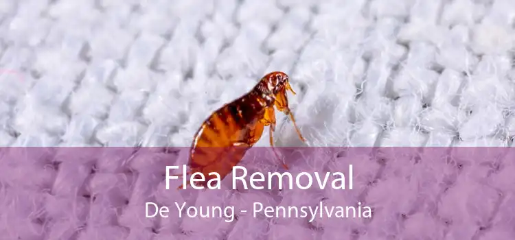 Flea Removal De Young - Pennsylvania