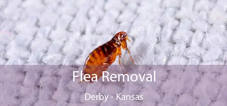 Flea Removal Derby - Kansas