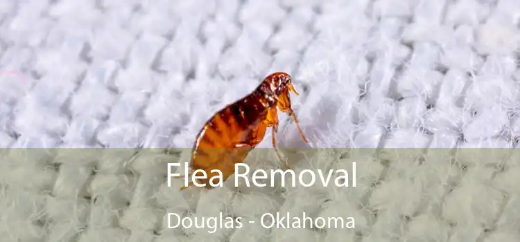 Flea Removal Douglas - Oklahoma