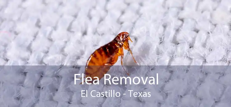 Flea Removal El Castillo - Texas
