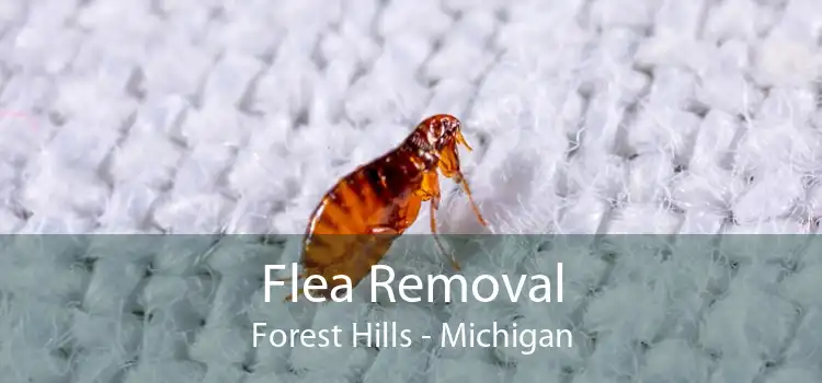 Flea Removal Forest Hills - Michigan