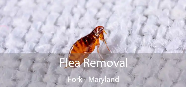 Flea Removal Fork - Maryland