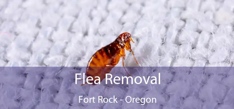 Flea Removal Fort Rock - Oregon