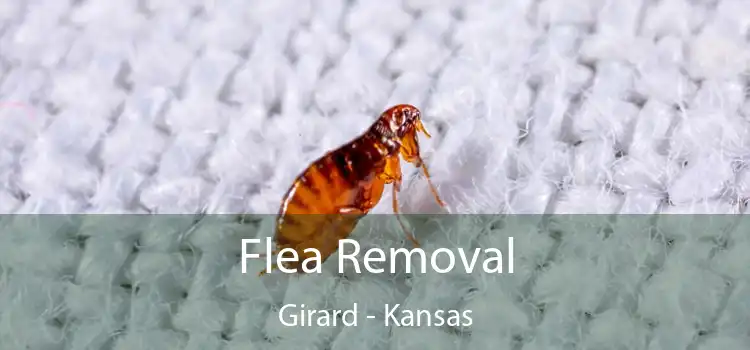 Flea Removal Girard - Kansas