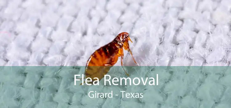 Flea Removal Girard - Texas