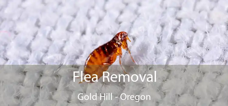 Flea Removal Gold Hill - Oregon
