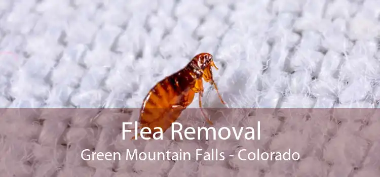 Flea Removal Green Mountain Falls - Colorado