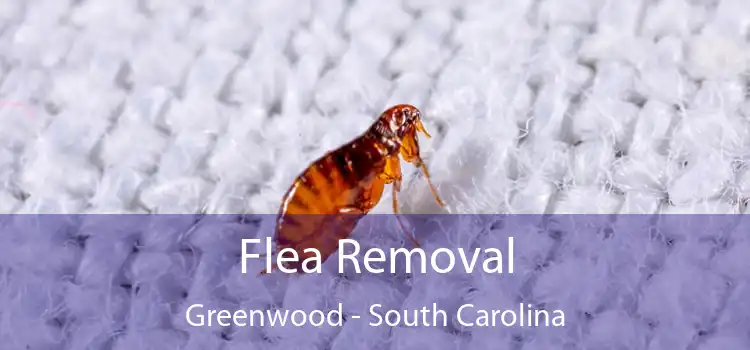 Flea Removal Greenwood - South Carolina