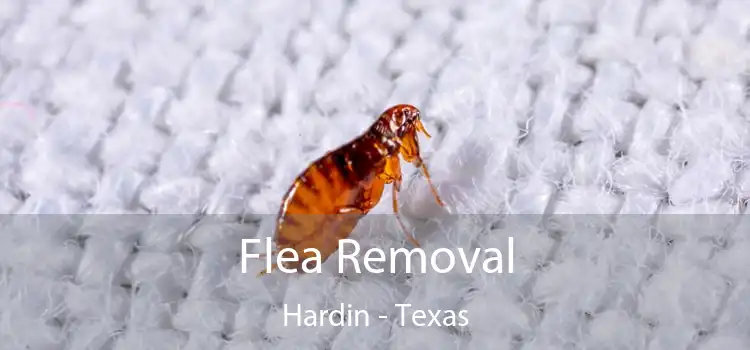 Flea Removal Hardin - Texas