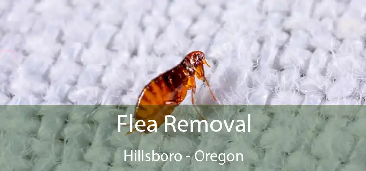 Flea Removal Hillsboro - Oregon