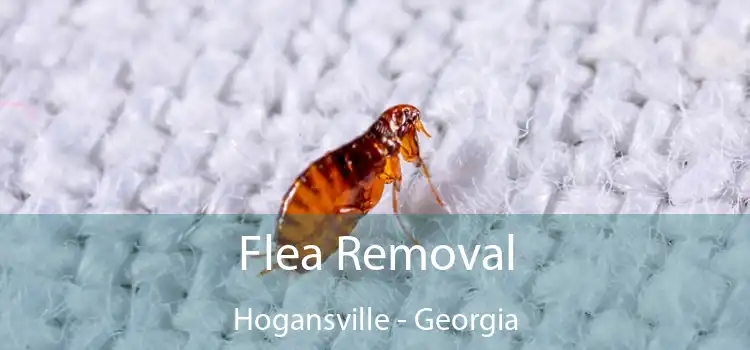 Flea Removal Hogansville - Georgia