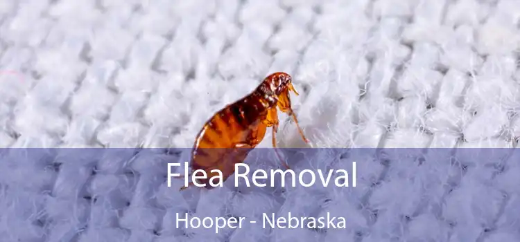 Flea Removal Hooper - Nebraska