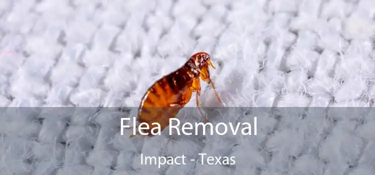 Flea Removal Impact - Texas