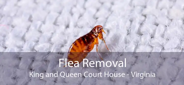 Flea Removal King and Queen Court House - Virginia