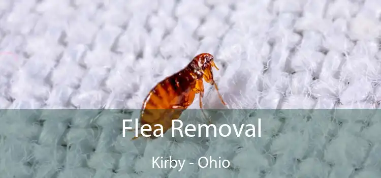 Flea Removal Kirby - Ohio