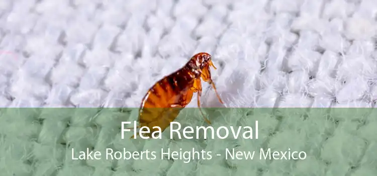 Flea Removal Lake Roberts Heights - New Mexico