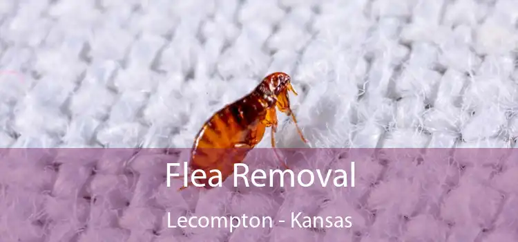 Flea Removal Lecompton - Kansas