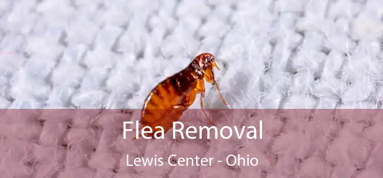 Flea Removal Lewis Center - Ohio