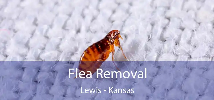 Flea Removal Lewis - Kansas