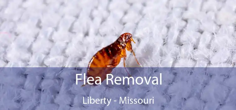 Flea Removal Liberty - Missouri
