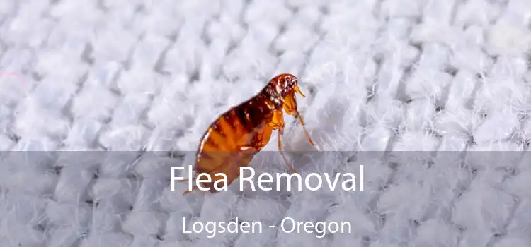 Flea Removal Logsden - Oregon