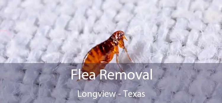 Flea Removal Longview - Texas