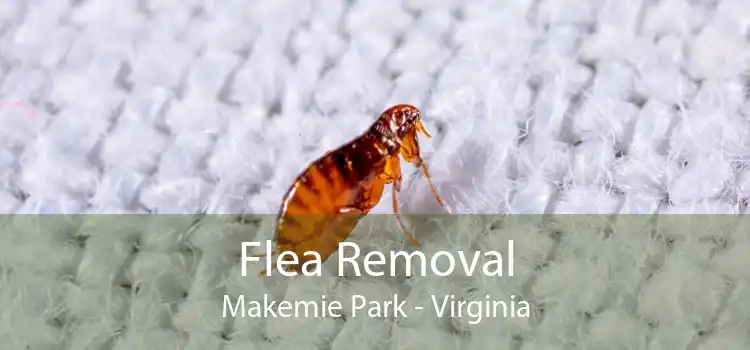 Flea Removal Makemie Park - Virginia