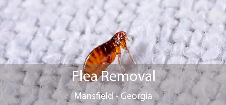 Flea Removal Mansfield - Georgia