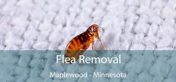 Flea Removal Maplewood - Minnesota