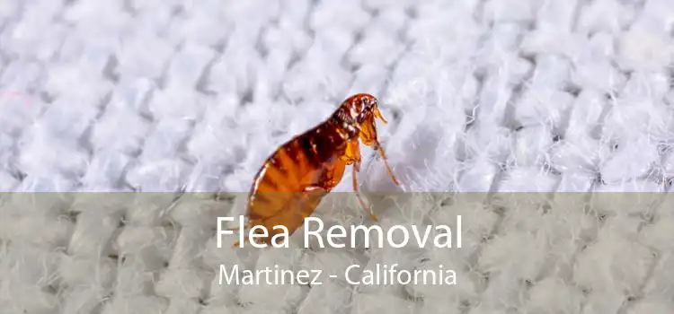 Flea Removal Martinez - California