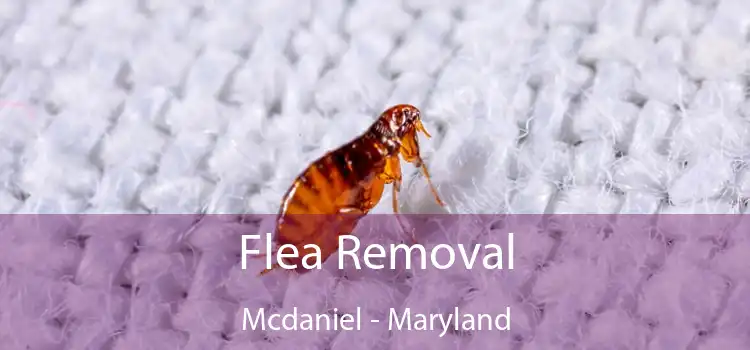 Flea Removal Mcdaniel - Maryland