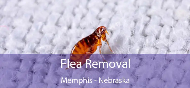 Flea Removal Memphis - Nebraska