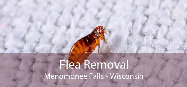 Flea Removal Menomonee Falls - Wisconsin